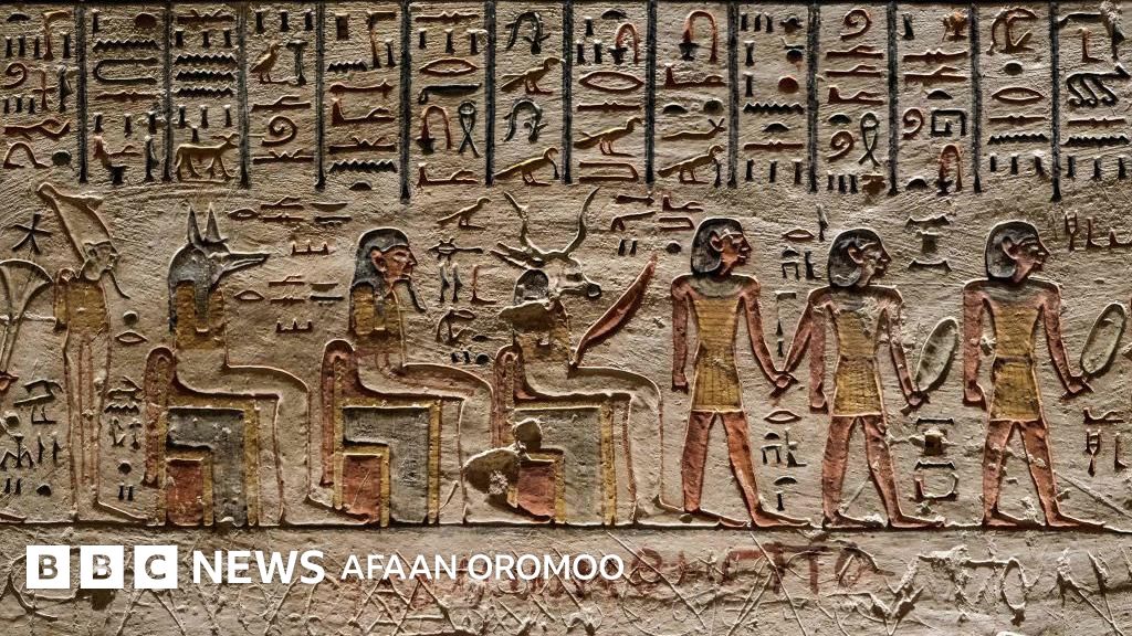 Ayting-chi, fohishaning mushukini yalab koring