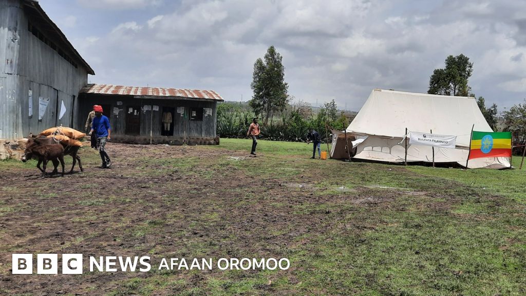 Xotin almashinuvi tarjimasi bilan porno filmlar