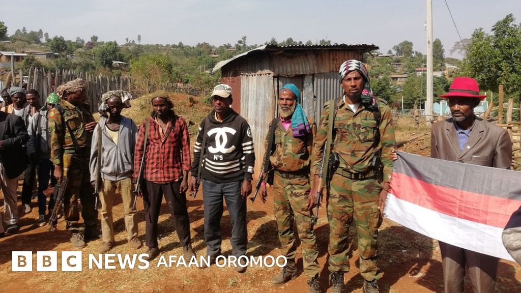 Araara Abo Fi Mootummaa Miseensonni Wbo Xoollayi Jiran Mormiirra Jiru Bbc News Afaan Oromoo Tumsae media 13.514 viewsstreamed 2 months ago. araara abo fi mootummaa miseensonni