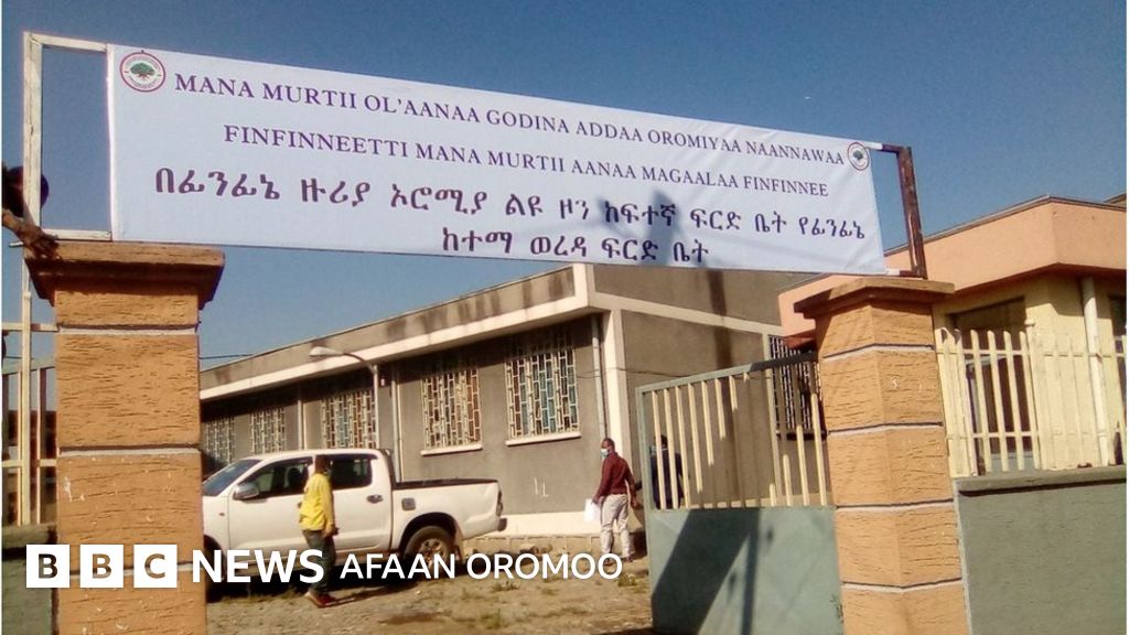 Men fohishani kechasi uchun 3000-5000 mingga ijaraga olaman.