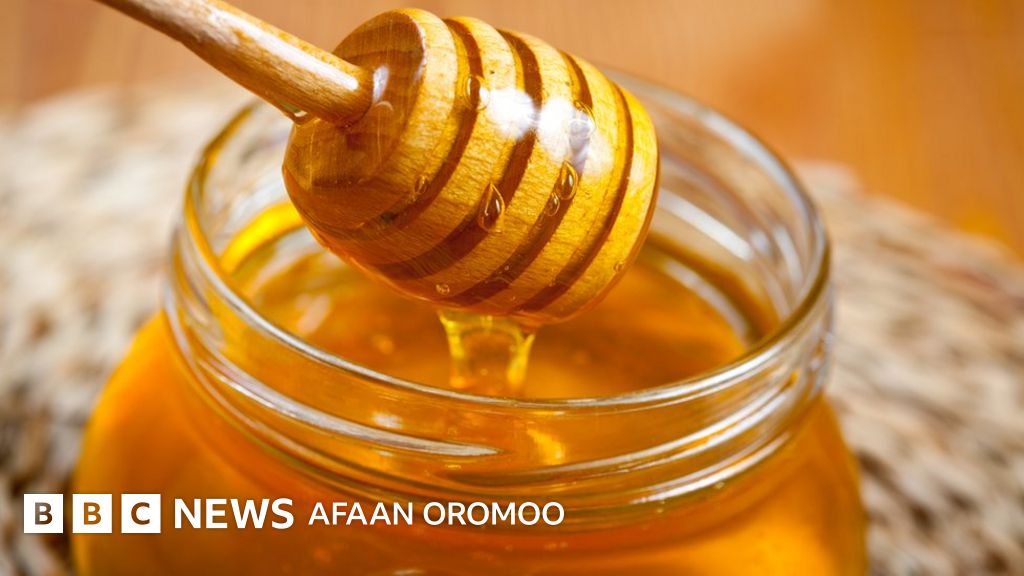 Ichki kiyimdagi chumolilar Suratdagi eng yaxshi mushuk