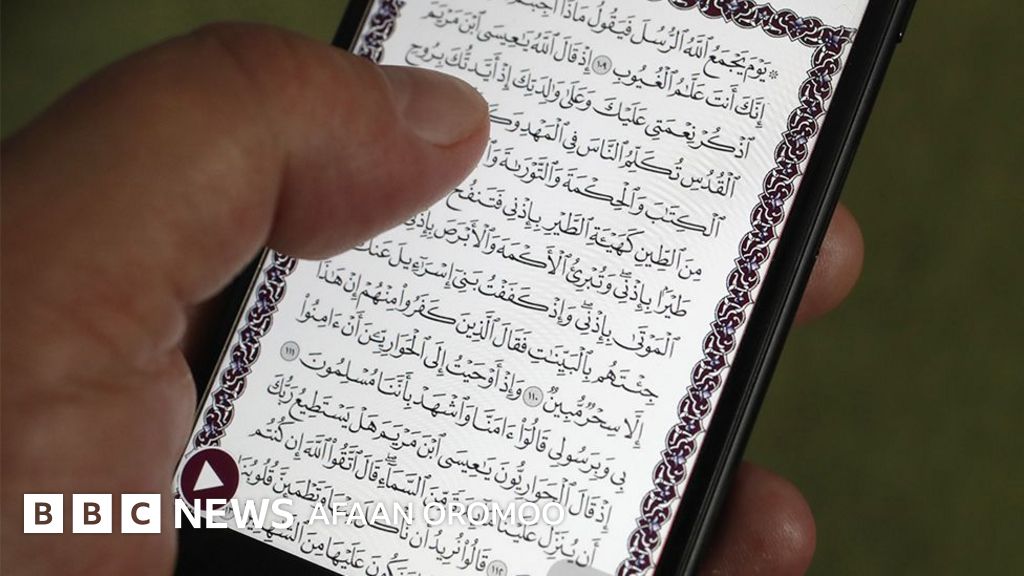 Ayol va orgimchak ortasidagi jinsiy aloqa