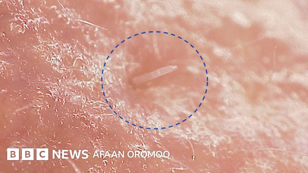 Yuqori sifatli tarbiyaviy jinsiy aloqa videolar