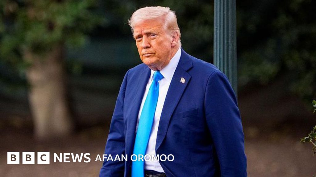 Porno multfilm Vandred