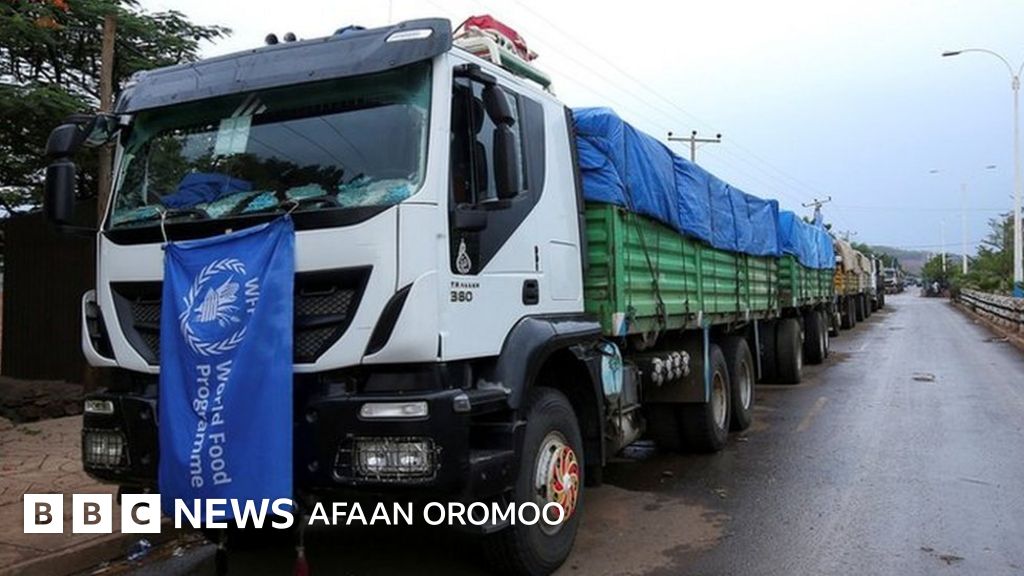 Sororita bilan porno