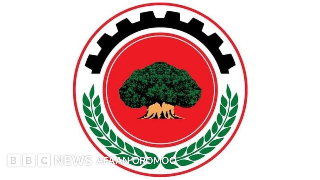 Jum oqib chiqib mushuk Saunada jinsiy aloqada bolgan ukrainalik yoshlar (letitbit)