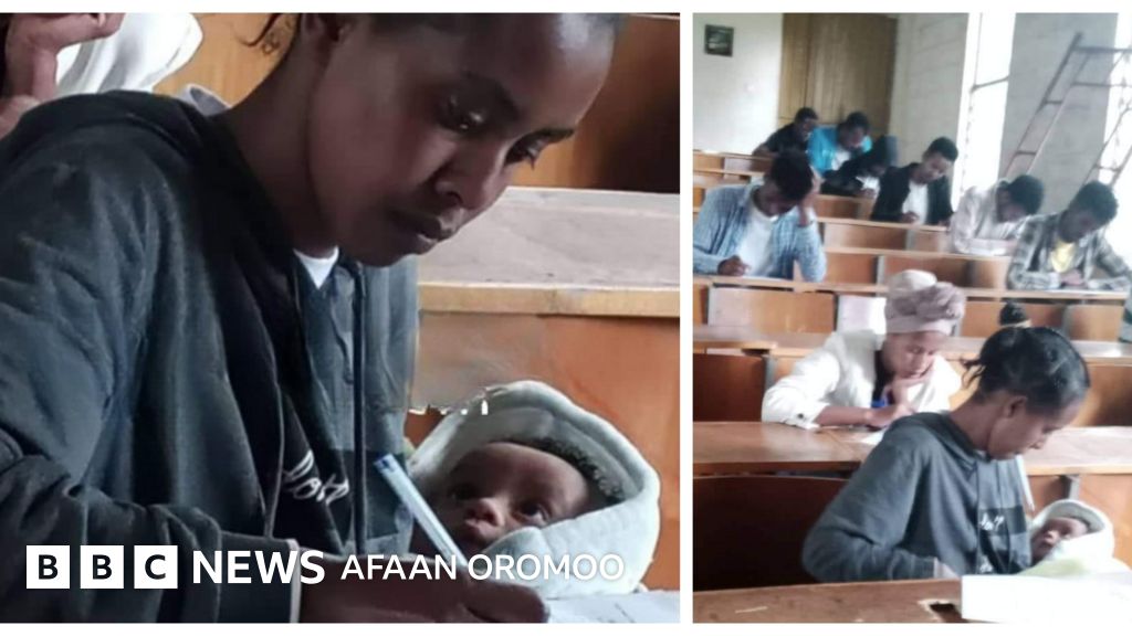 Dikni butunlay yutish boyicha dars