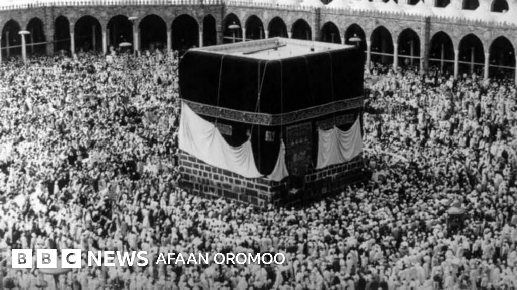 Kokrak uchlari porno