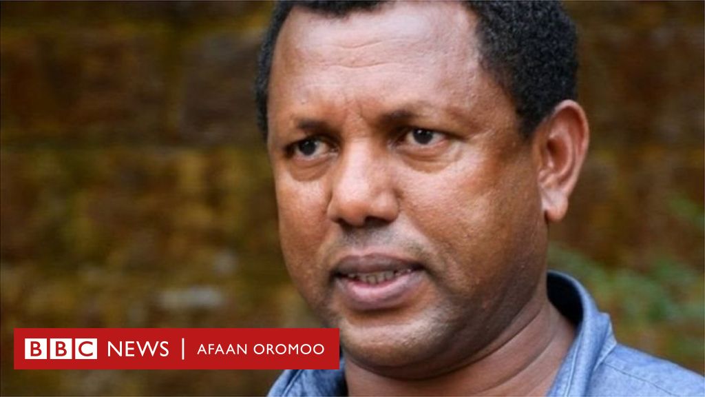 Yaalii Akkan Lubbuukoo Dhabuuf Taasifamaa Jirudha Obbo Lidatuu