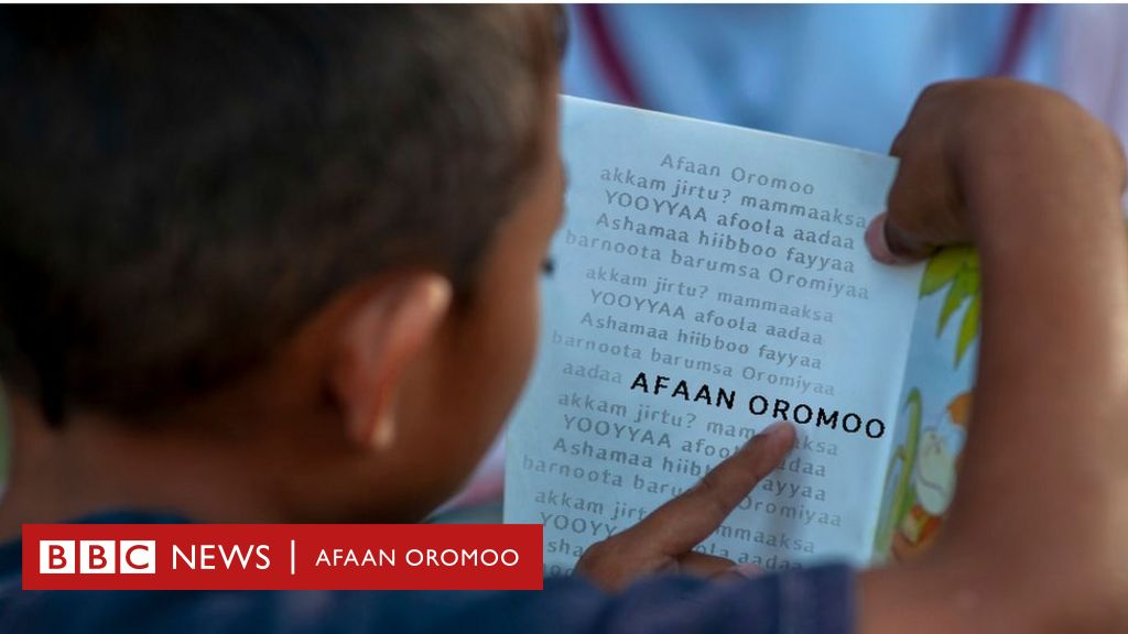 Afaan Oromoo Gaaffiin Afaan Federaalaa Gochuu Akkuma Gaafatametti Deebisuu Malee Qabdii Siyaasaa Gochuu Hin Barbaachisu Bbc News Afaan Oromoo