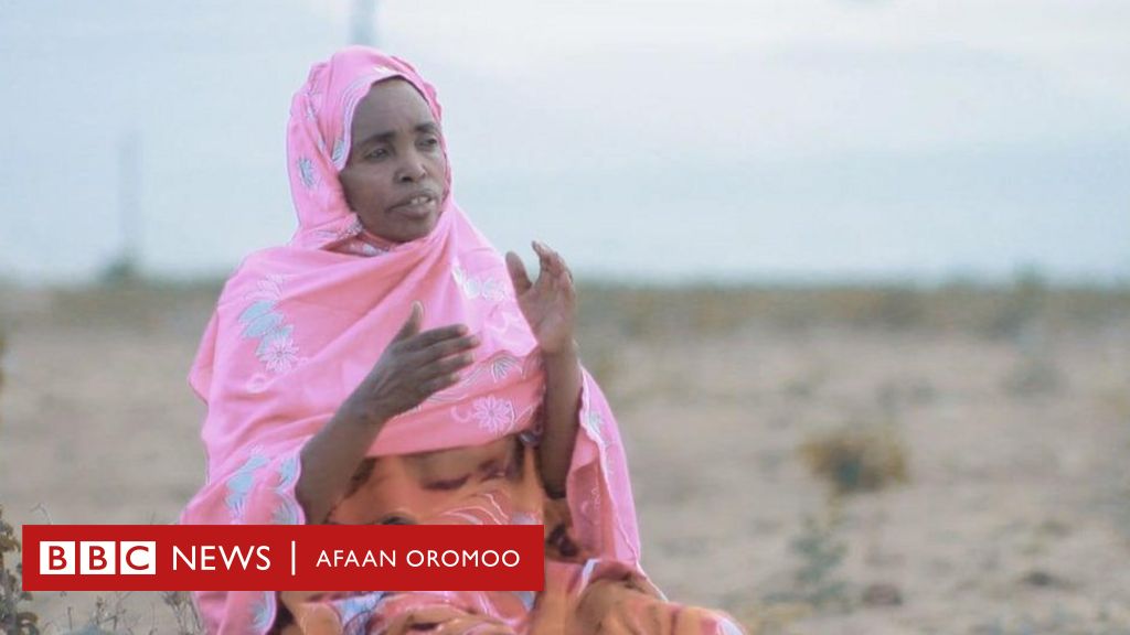 Aartii Oromoo: Wellistuu Haloo Daawwee waggoota shaniif dhibamtee sireerra  ooltee birmannaa gaafachaa jirti - BBC News Afaan Oromoo