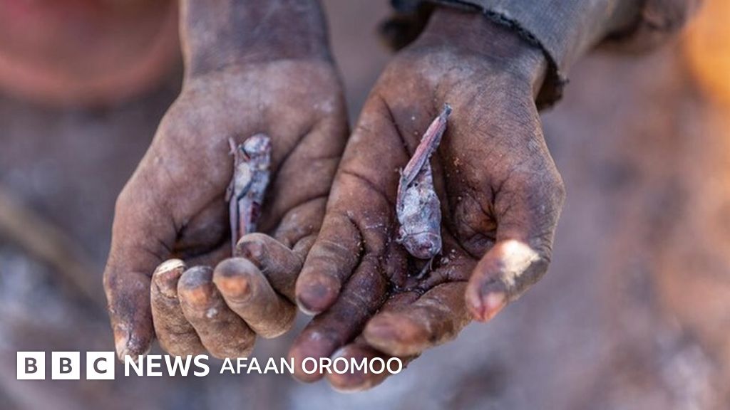 Barmoq yigitning eshagiga