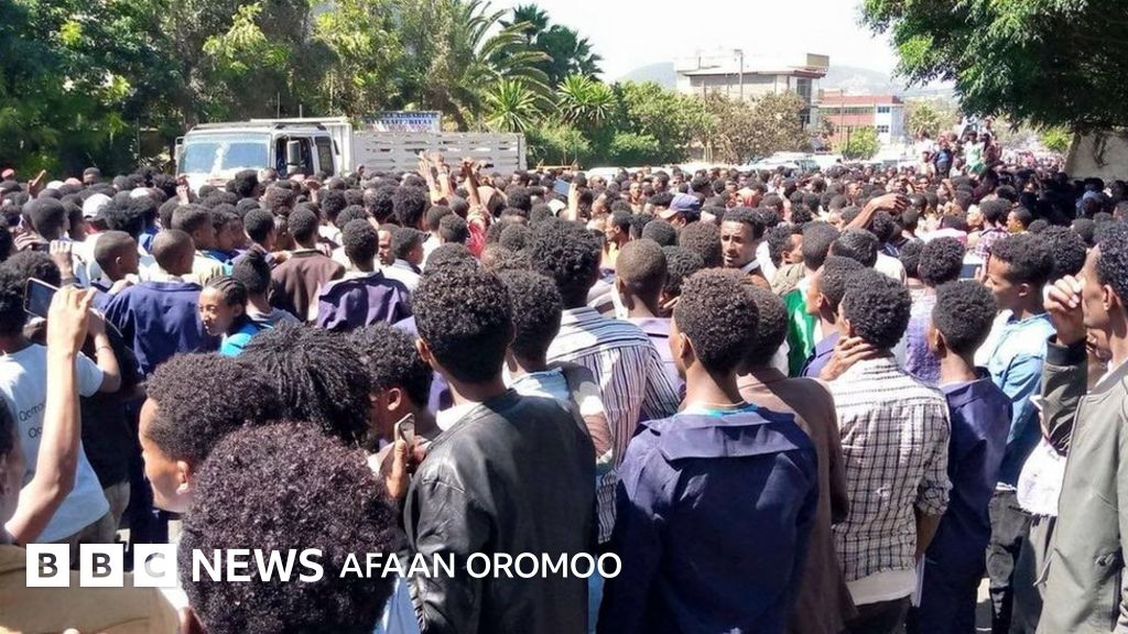 Til bilan bosh Elena Berkova bilan porno video