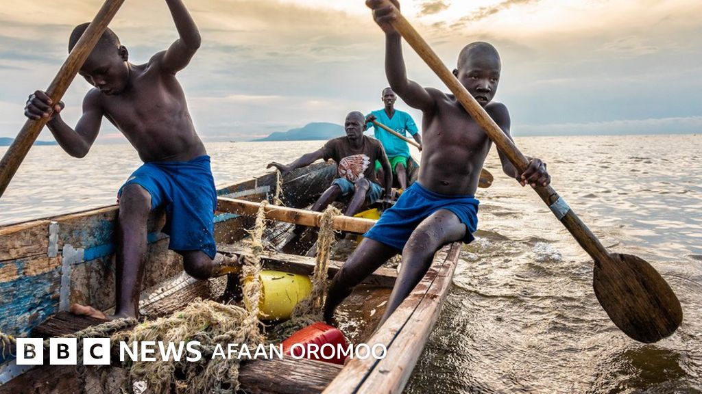 Koktebeldagi jinsiy orgiyalar Rostovlik yosh talabalar jinsiy aloqa xizmatlarini taklif qilishadi