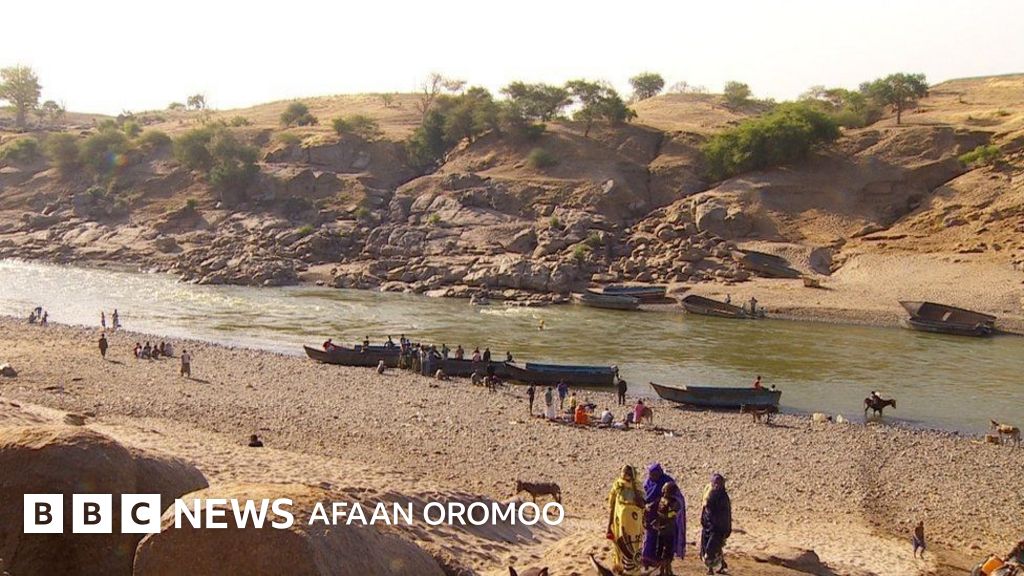 Men katta kokrakli ayolni suratga oldim.