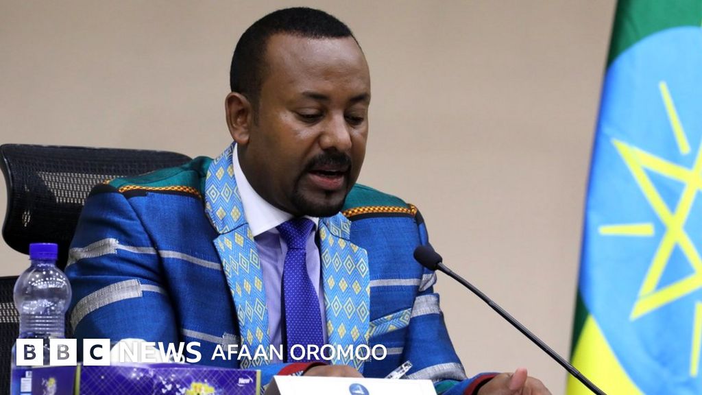 Primorsk olkasi transvestitlari porno