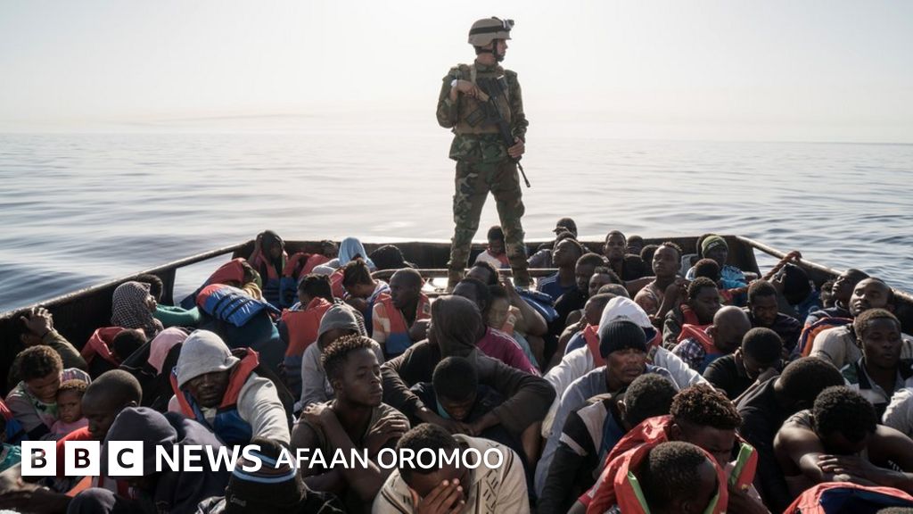 Malina, mushuk va gozal qizlardagi dikning fotosuratlari