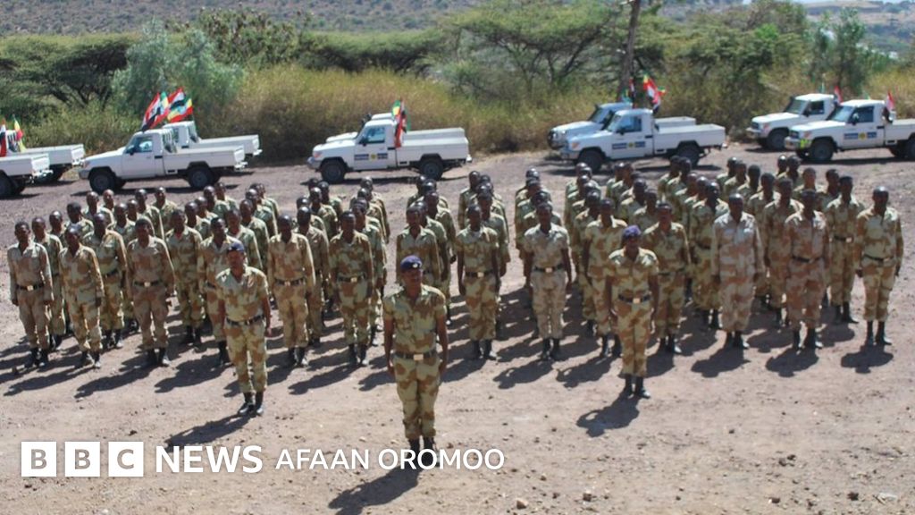Bolalar etuk qoshnini sikishdi Bir olomon qora tanlilar navbatma-navbat siktirishadi