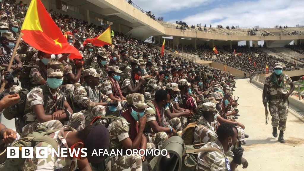 Fin erkaklar va jinsiy aloqa