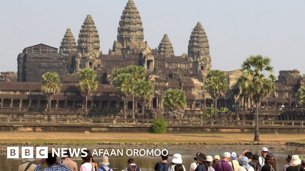 Yigitlar va fohishalar ishtirokidagi porno filmlarni onlayn tomosha qiling.