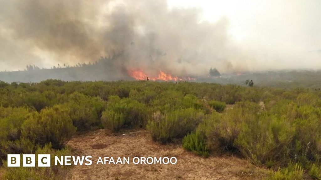 Onamning dosti bilan porno Porno multfilm katta sik