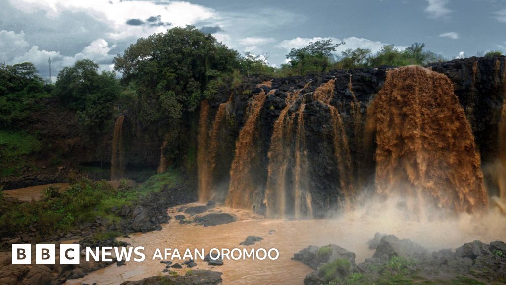 Eng yaxshi porno multfilmlar