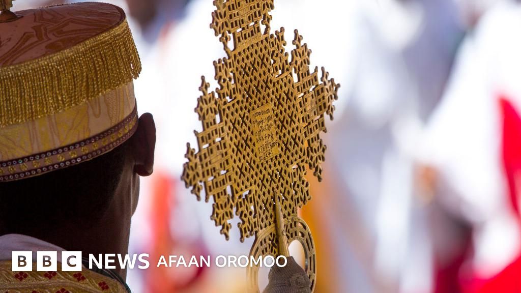 Erkak ayolning tovonini yalash uchun yaratilgan