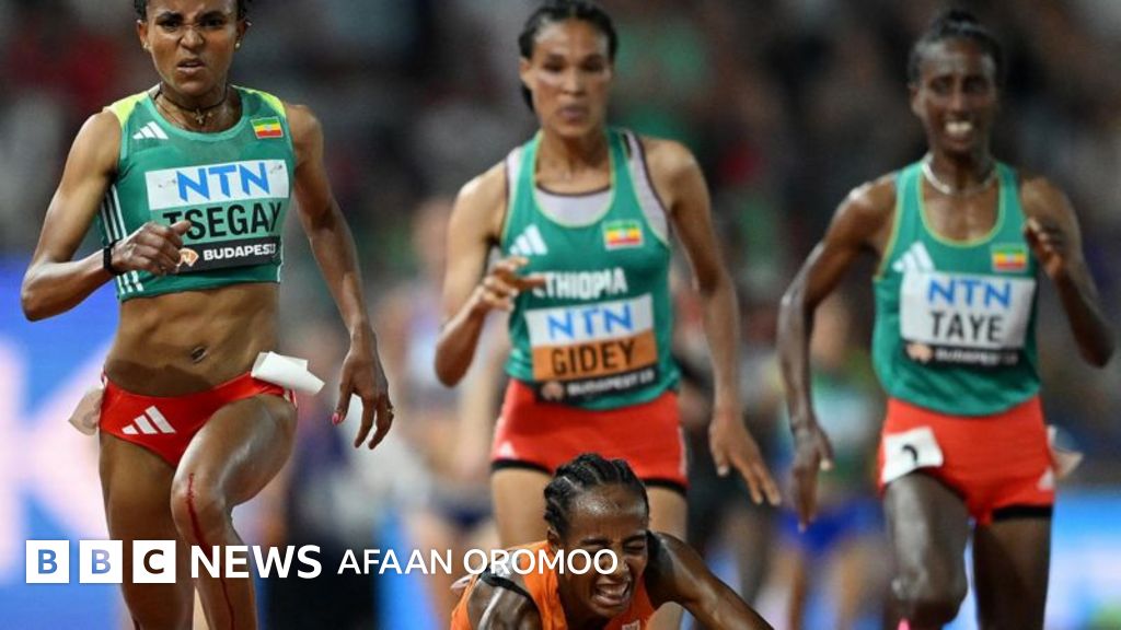 Ular navbatma-navbat eshagimga tegishdi