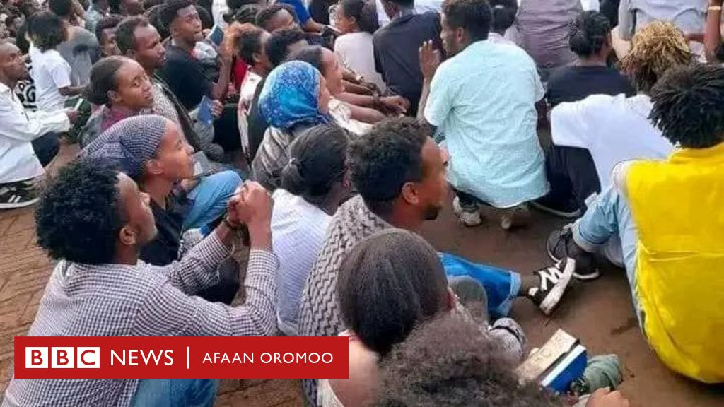 Magaala Mattuutti Amantoota Waldaa Guutuu Wangeelaa Maaltu Mudate Bbc News Afaan Oromoo