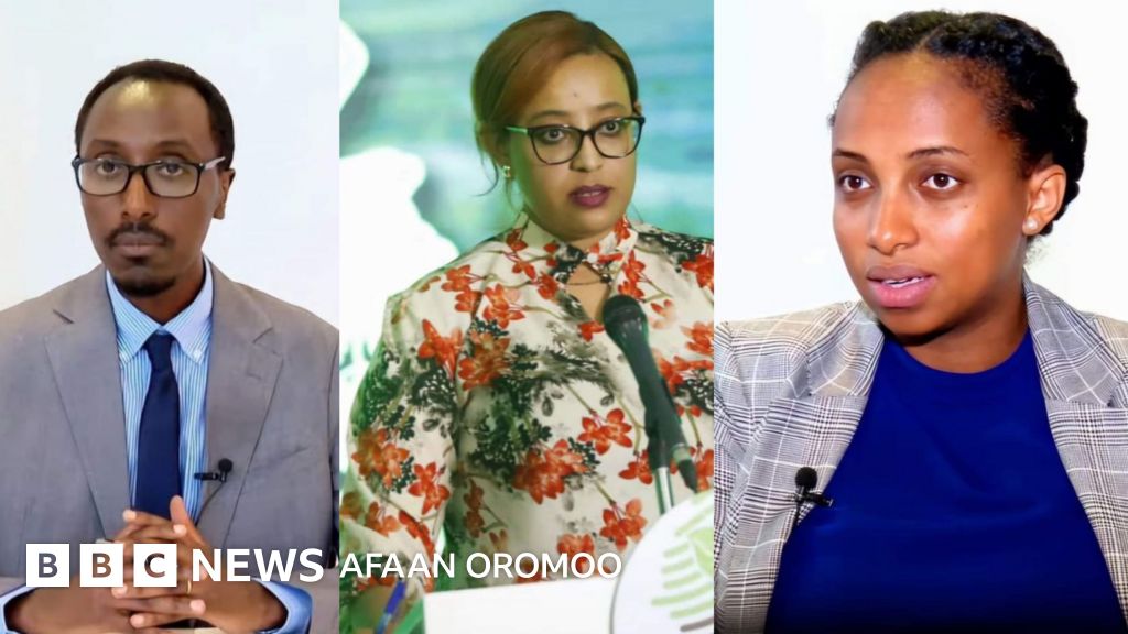 Latina kaltaklar rasmlar