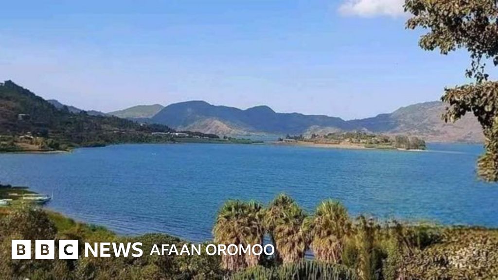 Pirojektii Maaddii Dhalootaf jedhuun qote bultoonni magaala Hayiq ...