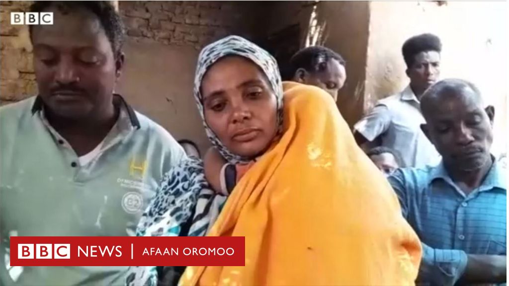 Ijoolleen Nu Harkatti Dhukkubsatte Manni Yaalaa Hin Jiru Bbc News Afaan Oromoo 