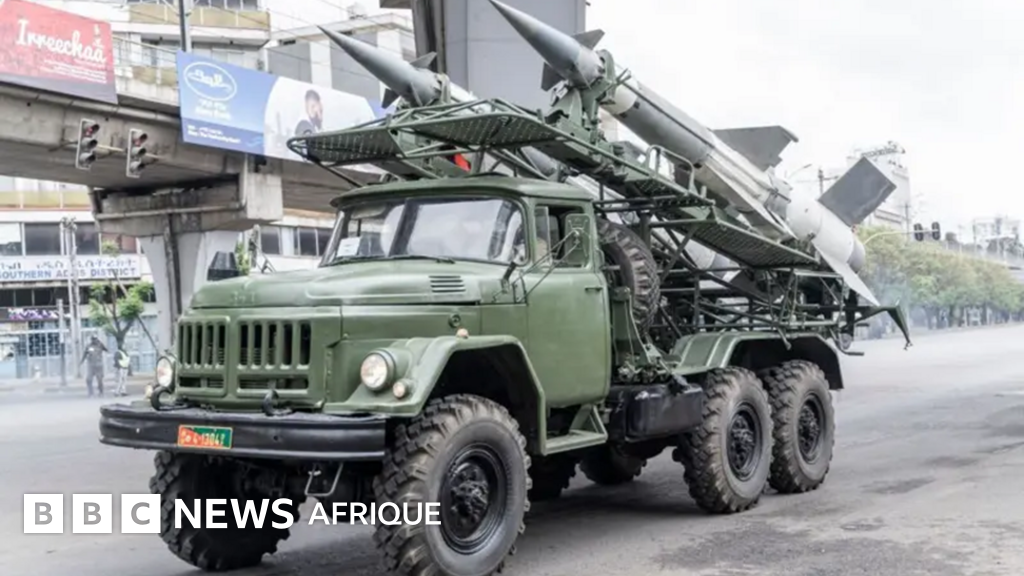 Le Top 10 des pays importateurs d'armes en Afrique subsaharienne