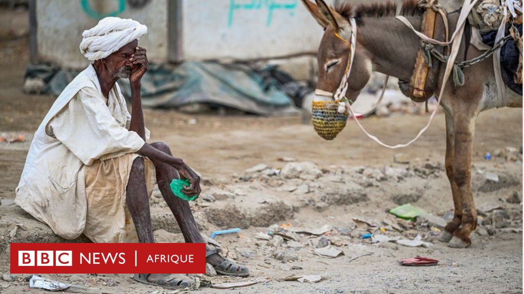 Conflit au Soudan : le Soudan connaît la pire crise alimentaire au ...