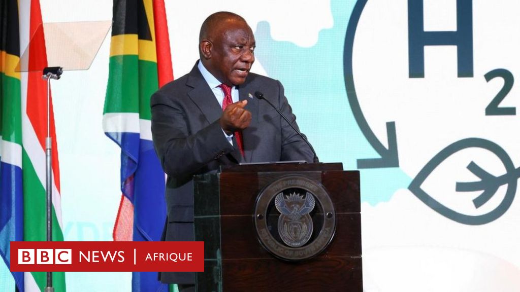 Tout savoir du scandale "Farmgate" en Afrique du Sud - BBC News Afrique
