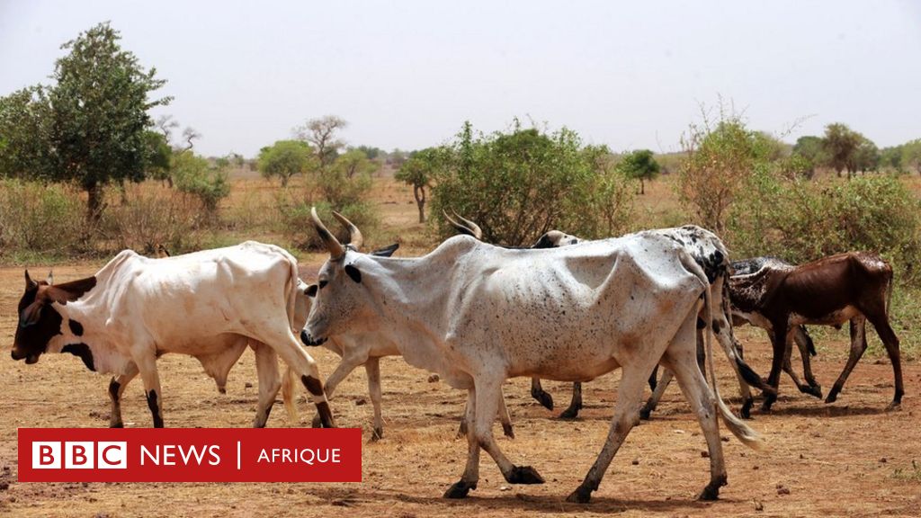 Deux Millions De Personnes Menacées Par La Famine Au Burkina Faso Bbc