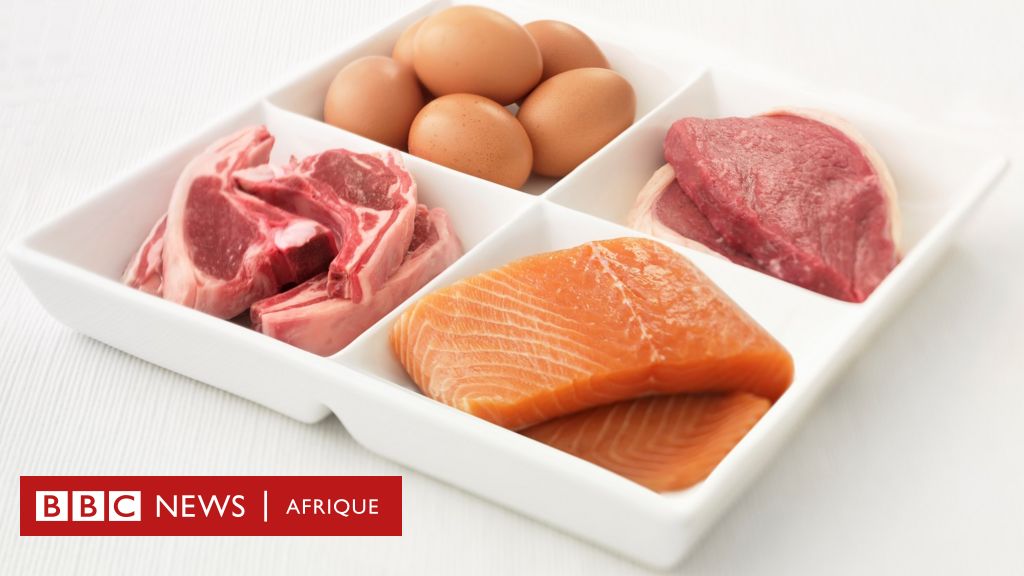 Nutrition: Top 10 Protein Sources