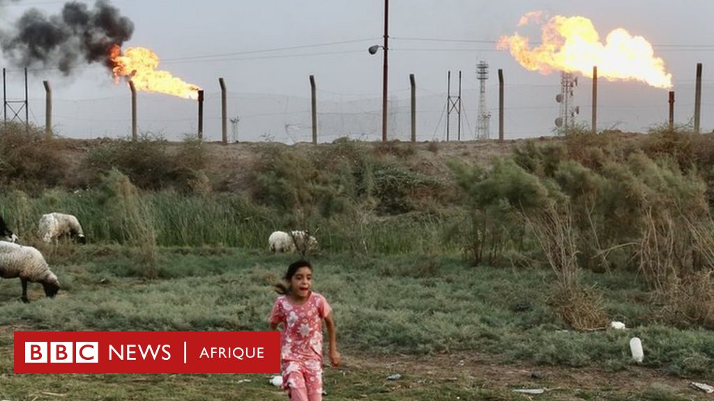 Les grandes compagnies pétrolières ne déclarent pas leurs émissions toxiques à la torche - BBC News Afrique