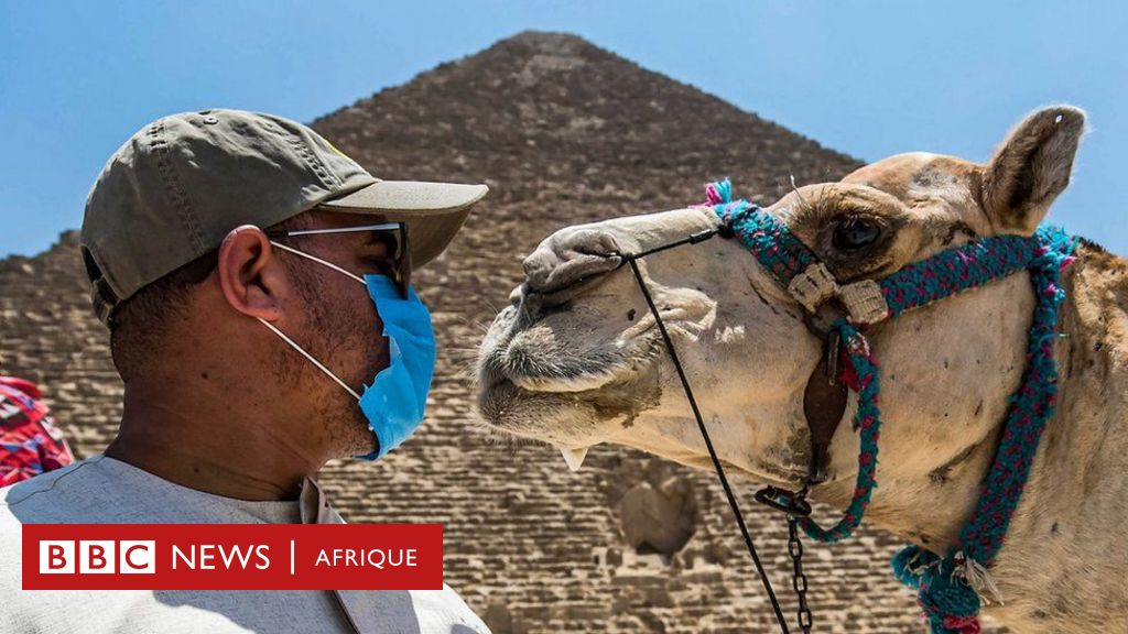 voyage egypte vaccin covid