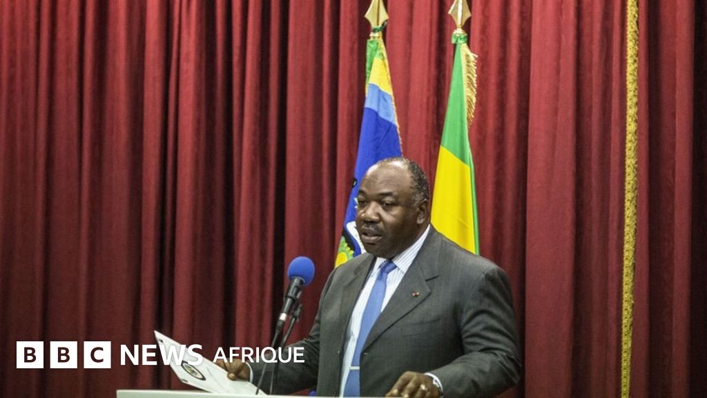 Le Gabon a un nouveau gouvernement  BBC News Afrique