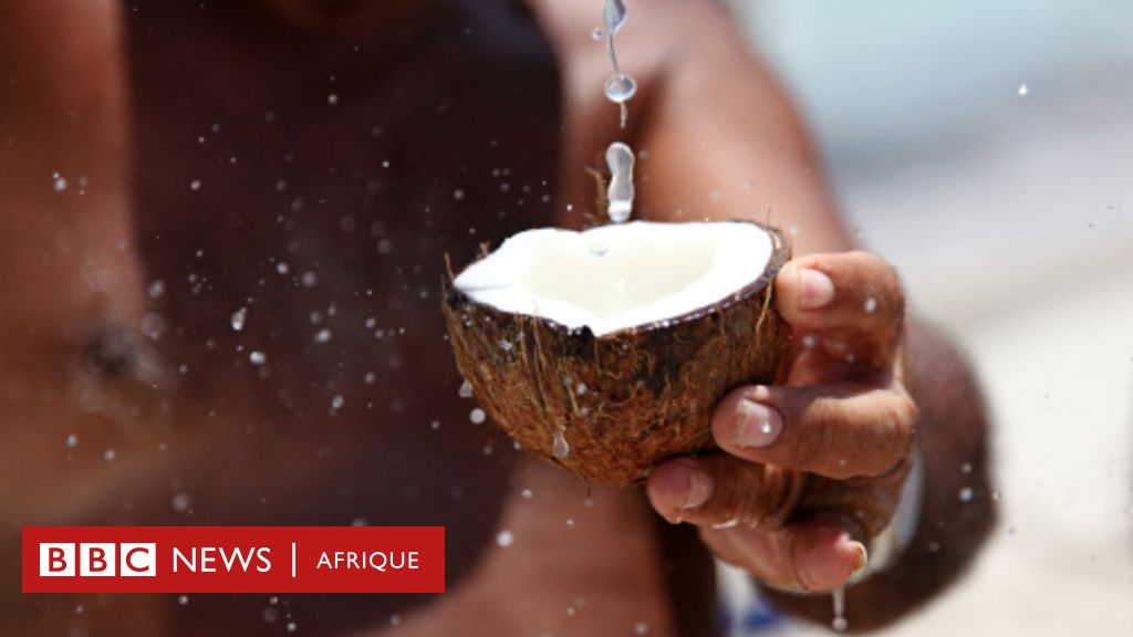 Nutrition : Les 5 principaux bienfaits des noix pour la santé - BBC News  Afrique
