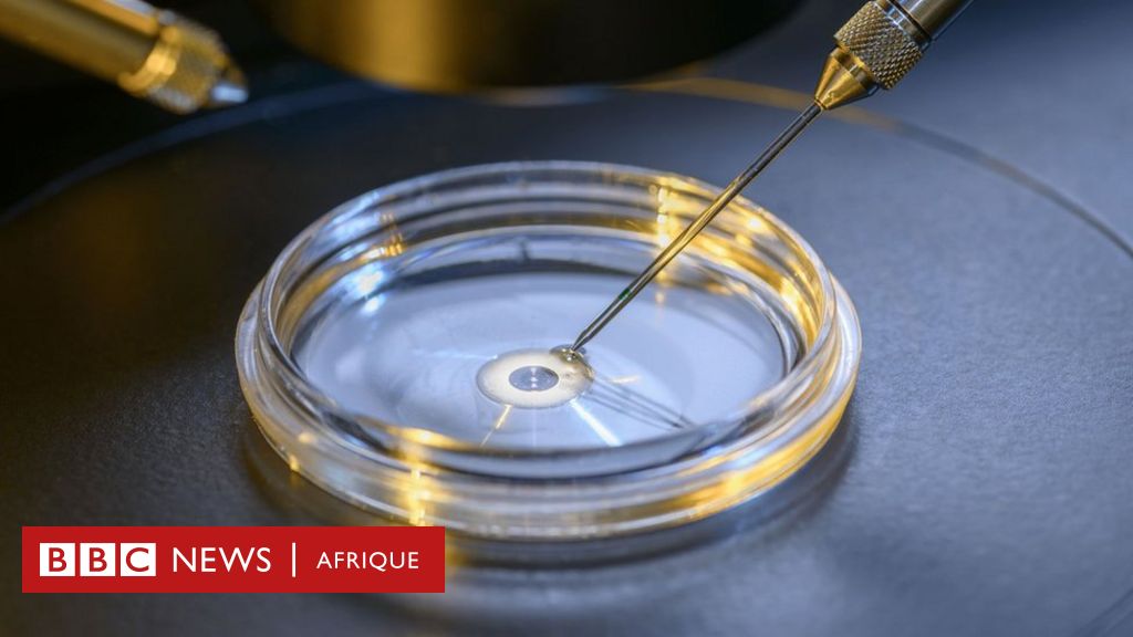 Scienza e fertilità: un embrione umano artificiale solleva questioni etiche
