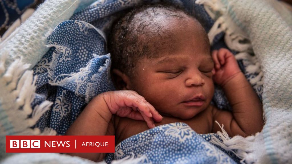 Decouverte De 25 Bebes Morts Dans Un Cimetiere En Cote D Ivoire c News Afrique