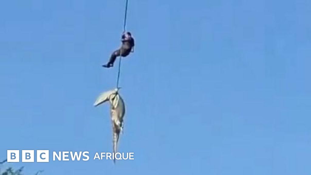 Un policier sud-africain a été descendu dans une rivière infestée de crocodiles pour récupérer des restes humains