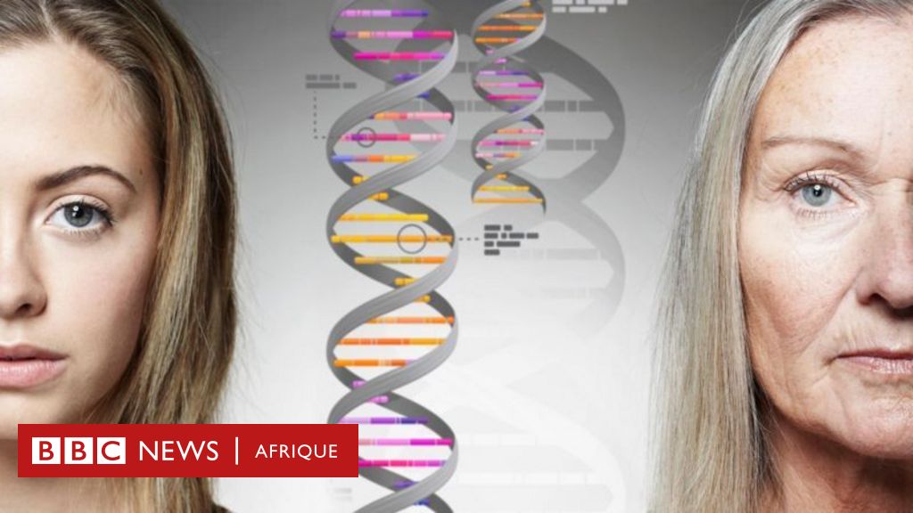 Biologie : Que sont les « gènes sauteurs » et pourquoi ils peuvent jouer un  rôle clé dans le ralentissement du vieillissement - BBC News Afrique