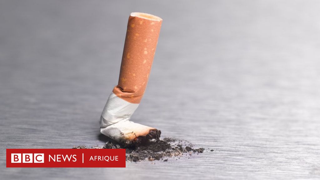 Fausse Cigarette Qui Fume - Livraison Gratuite Pour Les Nouveaux  Utilisateurs - Temu Belgium