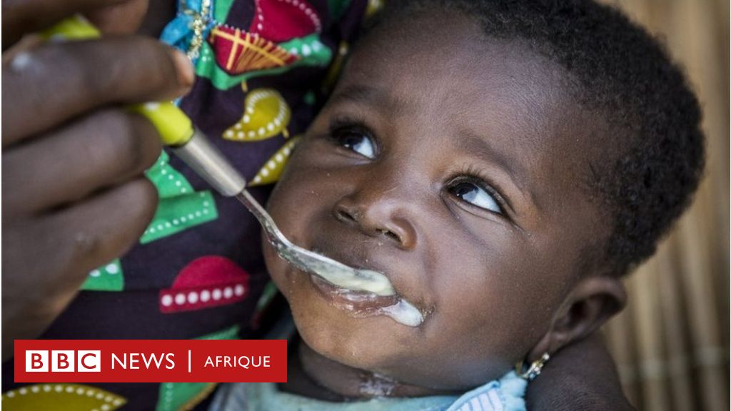 Pourquoi Nous Devenons De Plus En Plus Allergiques Aux Aliments c News Afrique