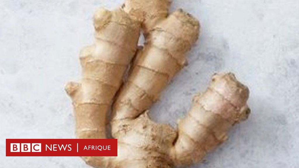 Nutrition : les cinq principaux bienfaits du gingembre pour la santé - BBC  News Afrique