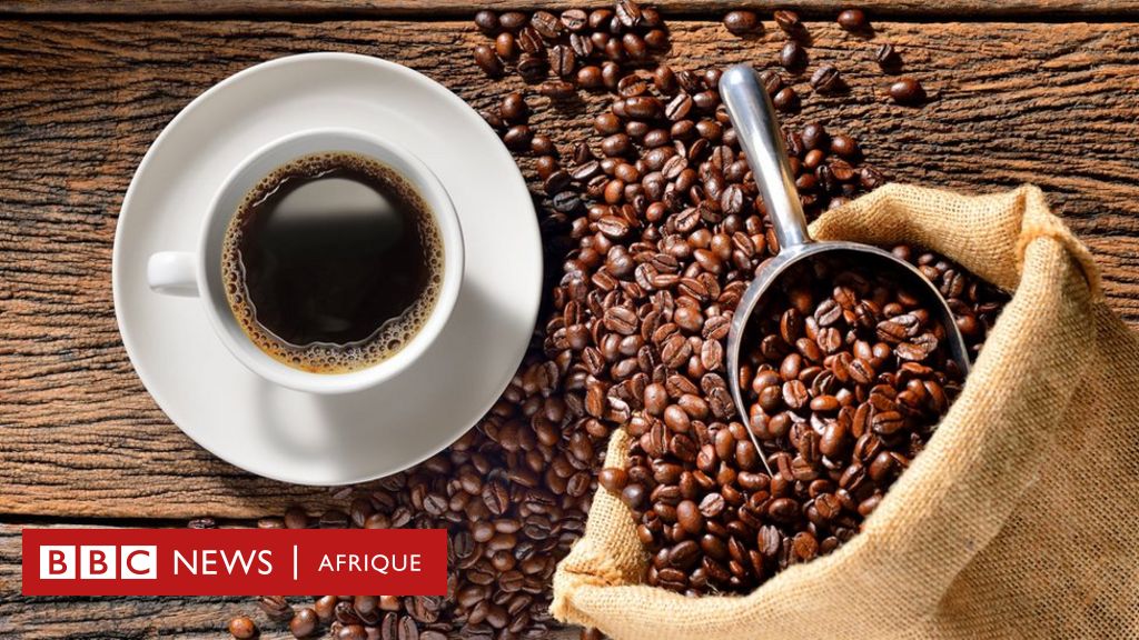 Café : production, consommation, bienfaits santé