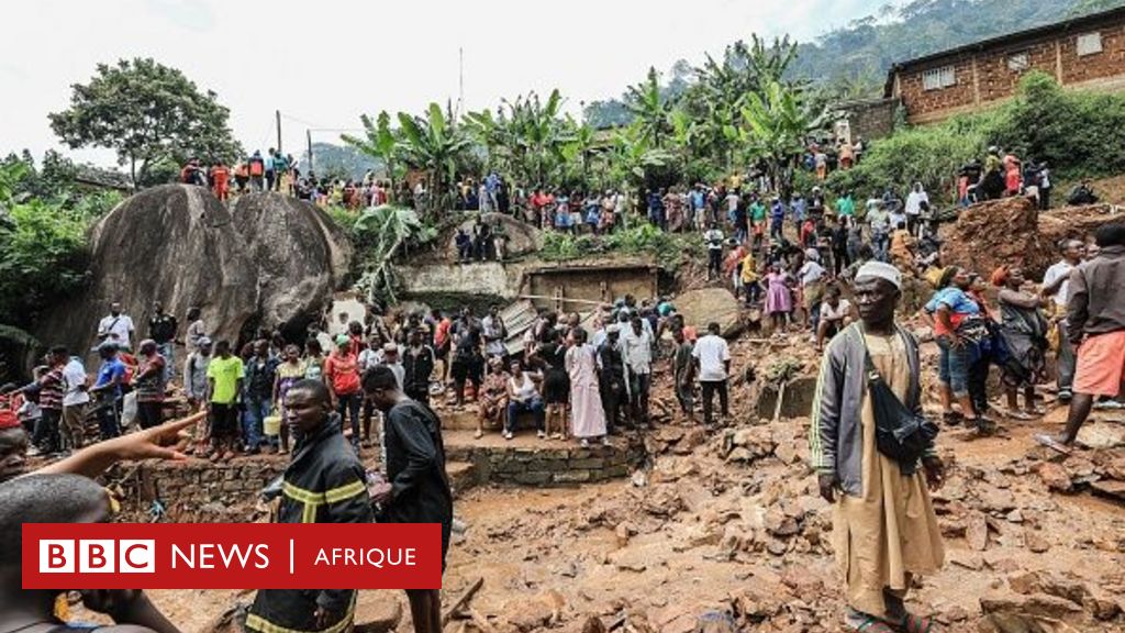 Eboulements de terrain au Cameroun Comment les prévenir après l